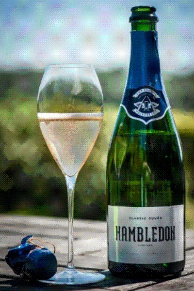 Hambledon Classic Cuvèe outshines some of Champagne’s best names in blind tasting with top UK wine experts