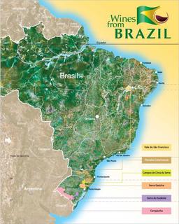 Brazilian wineries project US$ 950,000 in business in fair in Germany