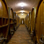 Amarone DOCG 2013: we tasted the new vintage. And these are, for us, the best
