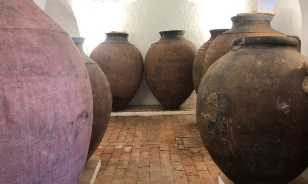 Vinho da talha, così in Alentejo si è salvata la tradizione romana oggi Patrimonio Unesco